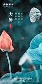 地产大暑节气海报