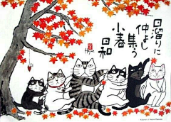 马小咩采集到有猫有狗