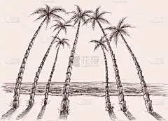 海洋,海滩,棕榈树,动物手,风景,椰子岛,海岸线,波浪,植物,绘制