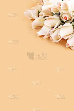 美丽的玫瑰花束在一个柔和的背景与复制空间。节日的礼物，生日，母亲节，情人节，妇女节。贺卡。平躺，俯视