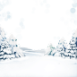 冬天 雪景 树