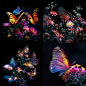 suyunkai_Colorful_butterflies_flutter_among_the_flowers_Black_b_4 (2)