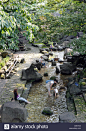July 27, 2012, Tokyo, Japan - Kids play in the man-made stream of a local water park in Tokyo as a powerful high Stock Photo