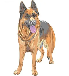 德国牧羊犬德牧黑贝插画矢量图设计素材