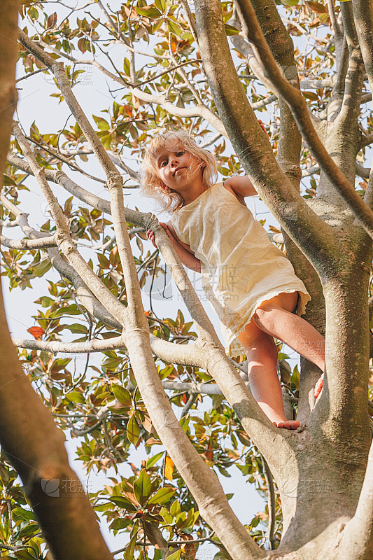 小女孩在夏天的花园里爬树玩耍-孩子冒险的...