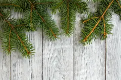 云杉,木制,枝,留白,灰色背景,传统,请柬,贺卡,边框,复古风格