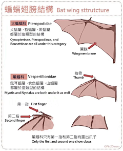 Viola丶采集到教程