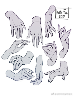 六萬采集到Anatomy Hands & Feet
