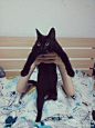 我家的黑崽参加了@鸸鹋动物园 的#举猫#活动：【我家又有了新的举猫姿势，心更塞了～...】>> http://t.cn/RvyQWCl