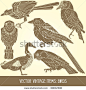 Old Key Collection / Vintage Illustration From Meyers Konversations-Lexikon 1897 - 96036050 : Shutterstock