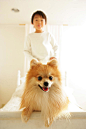 博美犬