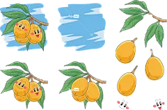 新鲜水果枇杷元素素材