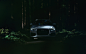 Audi Q3 in a Redwood Forest : Audi Q3 in a Redwood Forest. Photographed for Audi USA social media channels.