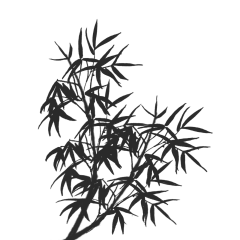 中国风水墨竹子图片古风竹叶竹林水彩手绘插画PNG免扣 PS设计素材