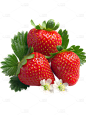 夏季果蔬通用多主体草莓元素素材