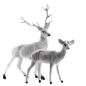 png圣诞节麋鹿装饰素材 小鹿 动物 萌
@灬小狮子灬