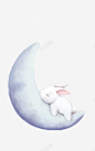 月亮与兔子 页面网页 平面电商 创意素材