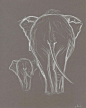 Two Elephant White Pastel Drawing. Original Elephant drawing. Baby elephant with mother.Elephant minimalism sketch.Nursery Art.Wall Art.8x10...: 