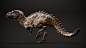 Ziggysaurus