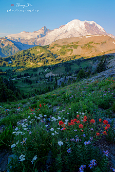 广角下的野花-花瓣网|陪你做生活的设计师 | 勒冈火山湖边,积雪旁盛开