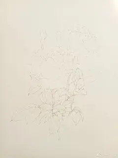 水彩---教程 - 高清图片，堆糖，美图壁纸兴趣社区