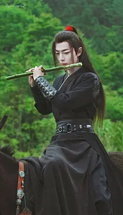 陈情令长评+超多高清无码壁纸：一见钟情魏无羡，日久生情蓝忘机。 : 作为85后老阿姨，已经很久很久没有追剧追星了，起初是在别人追剧时旁观被战羡超级...