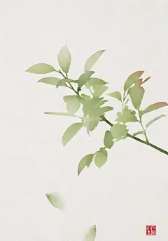 树枝插画 古风海报 石家小鬼原创中国风二十四节气插画，商用请联系邮箱shijiaxiaogui@qq.com，未经允许严禁商用。