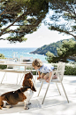 Outdoor furniture by Tribù, Branch collection designed by Lievore Altherr Moline