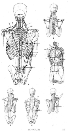 pl张采集到Structure