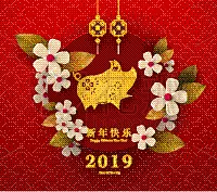 春节,新年前夕,幸福,2019,标志,请柬,残酷的,贺卡,日历,汉字