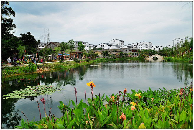 美丽南方忠良村