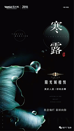 设计慢慢来采集到节气稿