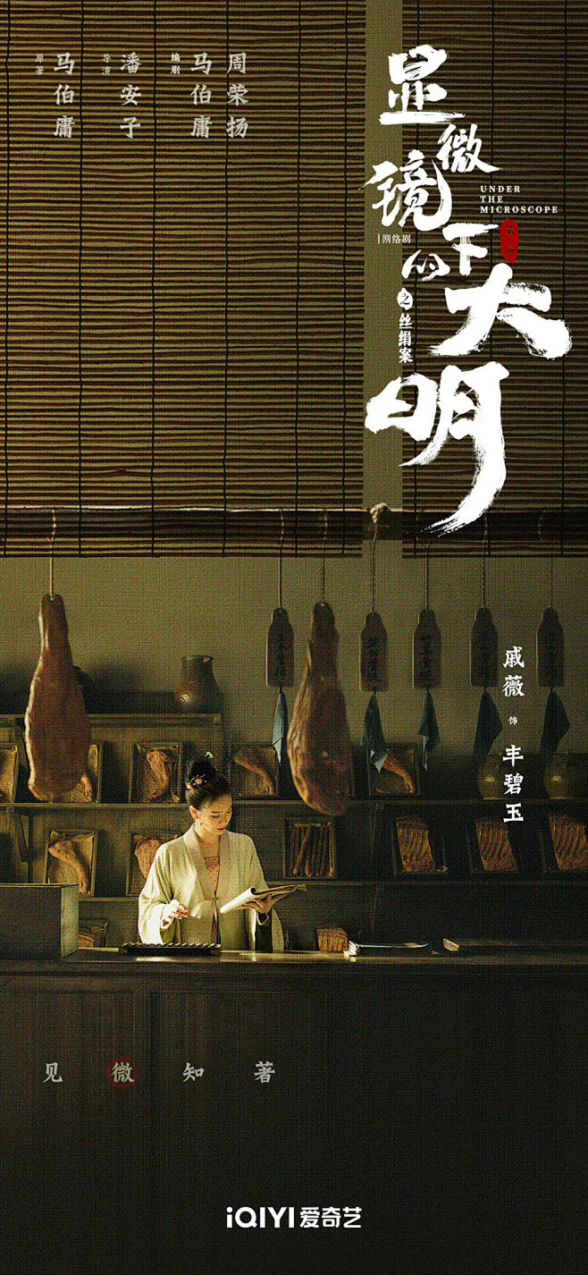 绝美！43张《显微镜下的大明之丝绢案》电视剧海报
