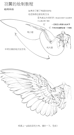 菜喵苗采集到绘画