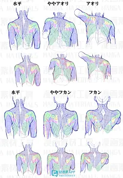 漫画手绘人体怎么画？一步步教你画漫画手绘人体