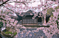 “  日本 · 古建欣赏 …  ” ​​​​