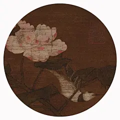 佚名 芙蓉 设色绢本 镜心_3_西园雅集_来自小红书网页版