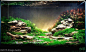 经典的松皮石造景合集 - 水草造景 - 龙巅水草