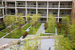 木魅儿采集到医院