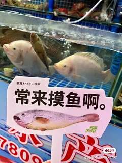 打不榴遛秋采集到2024 - 有点东西