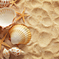 贝壳和沙子