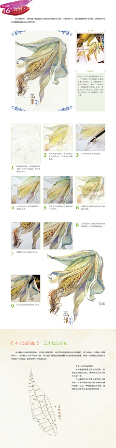 绘客采集到【水彩技法教程】