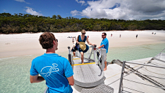 任游网境外自助游采集到澳大利亚自助游-圣灵群岛旅游