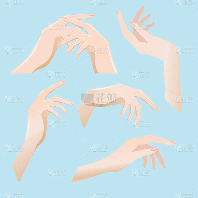 不同角度的一组女手.