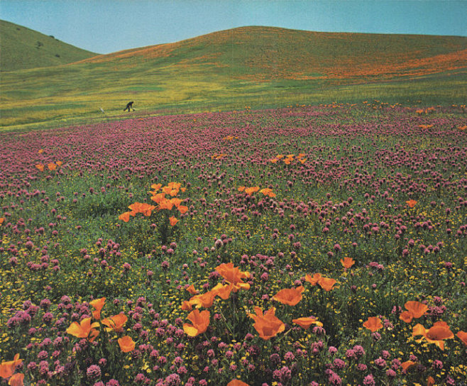 spring ​​​​