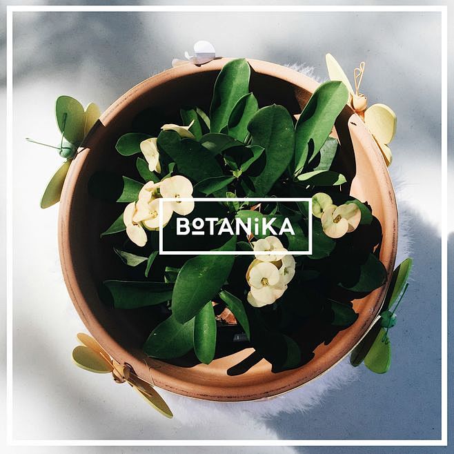 Botanika | flower sh...