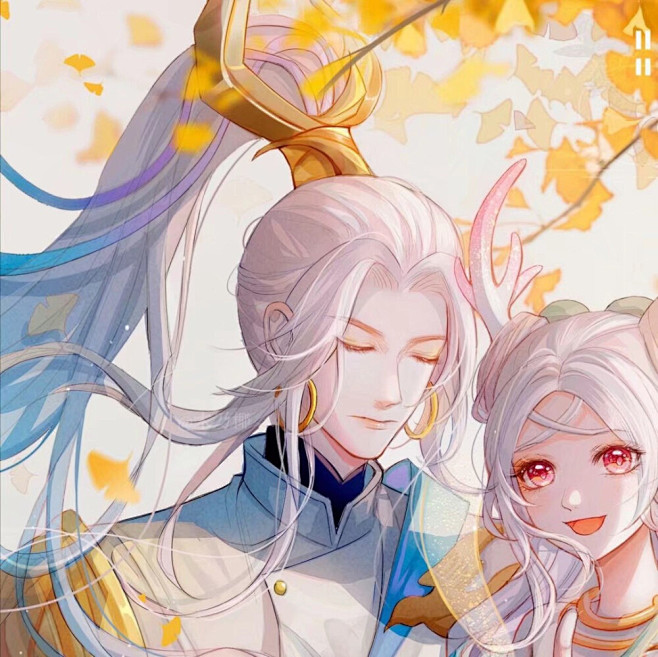瑶瑶