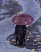 -GUWEIZ-的照片 - 微相册