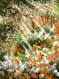   爱沙尼亚插画师 laivi_illustration 的乡村田园风治愈系插画，她将生活中的惬意时光描绘出来，温暖的光影，勾勒出一幅幅梦幻的场景。一起来享受返璞归真的宁静生活美吧！！