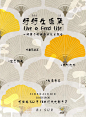 微信图片_20241031064206